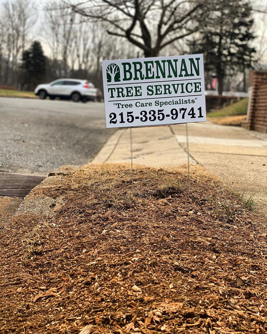 Tree Health & Cabling in Doylestown by Brennan Tree Service