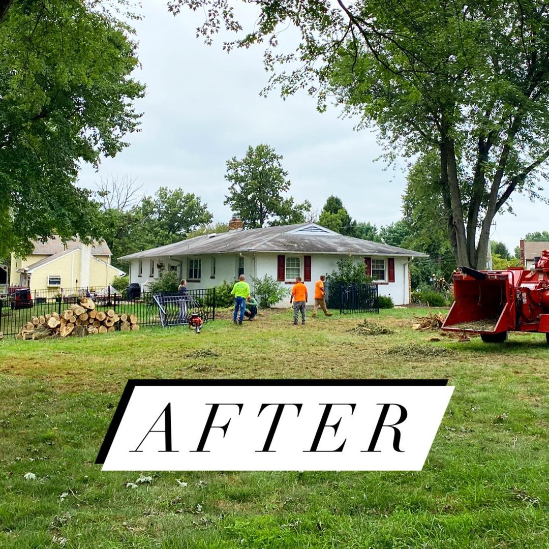 After — storm damage cleared by Brennan Tree Service